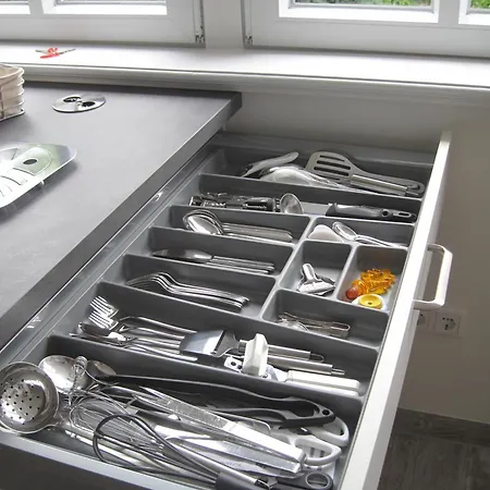 Muschel G Spiekeroog