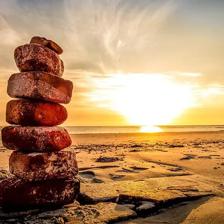 Muschel G Apartment *