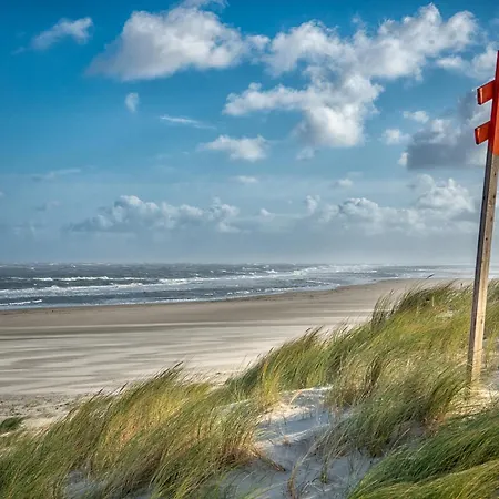 Muschel G Apartment *