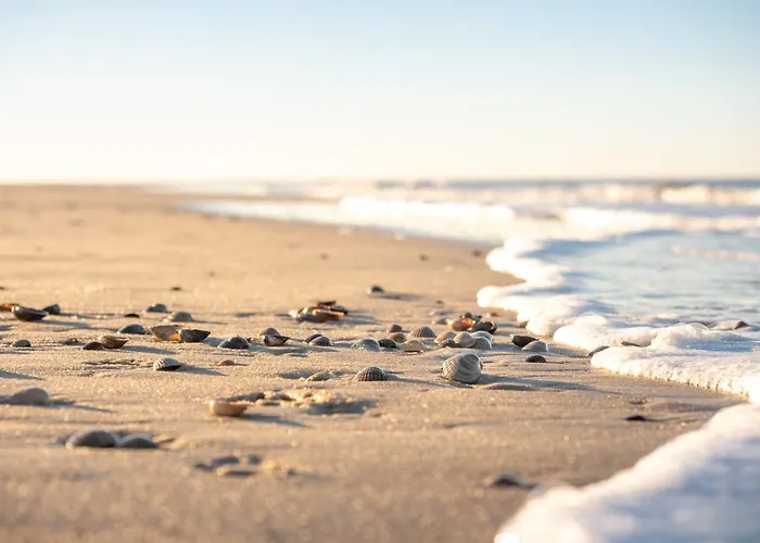 Muschel G * Шпикерог