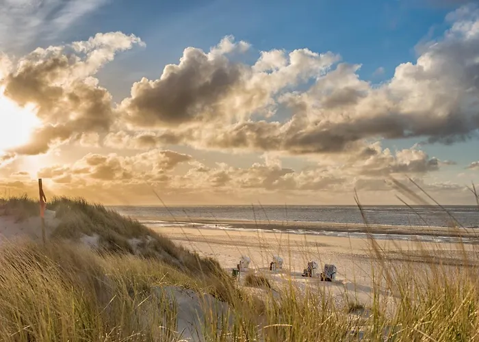 Muschel G * Шпикерог